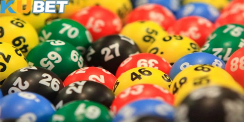 Số lượng đề trong dàn nên nuôi vừa phải tránh lỗ vốn