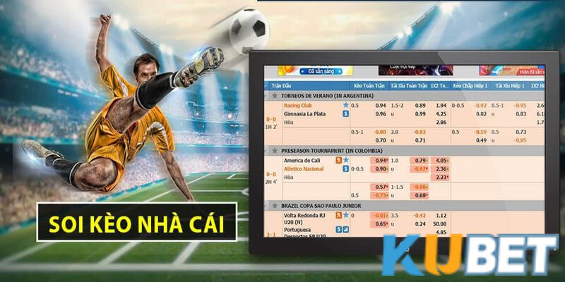 Đa dạng tỷ lệ kèo tại địa chỉ cá cược Kubet